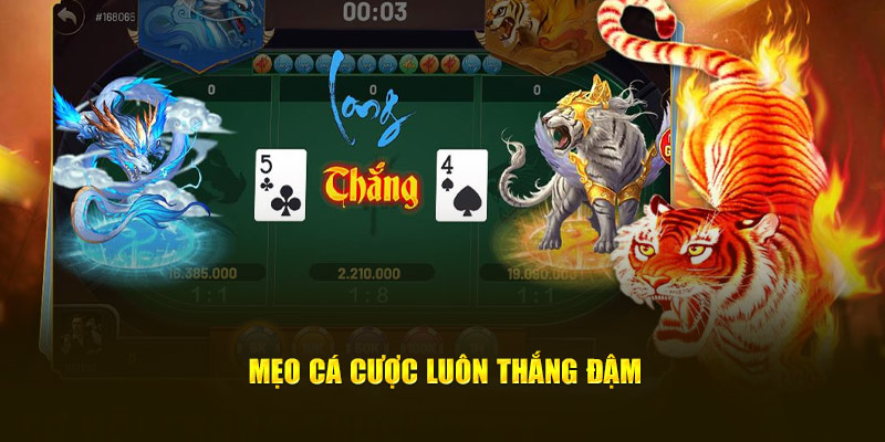 Mẹo cá cược Rồng Hổ luôn thắng đậm